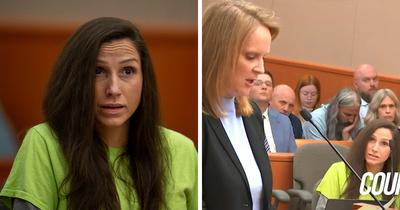 Chilling Chaos As Children’s Author Pulls Faces At Sentencing While Kids Detail How She Ended Pets’ Lives In Horrific Revelations