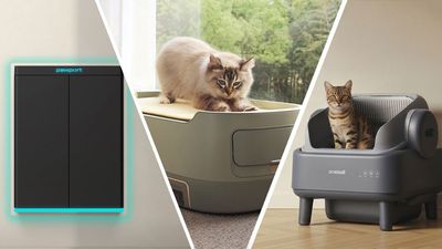I delved into the wild world of pet tech to find the 9 best cat-care gadgets — including a feeder with facial recognition, and a self-cleaning litter box with a sealed 'poop dungeon'