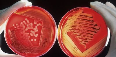 The federal budget will keep scientific research alive. But it’s unlikely to expand it