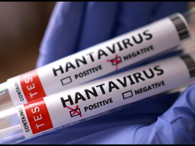 WHO confirms eight cases of Andes hantavirus in outbreak