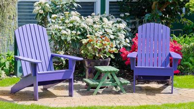 Supercharge your yard without spending a dime: 5 household items to repurpose right now