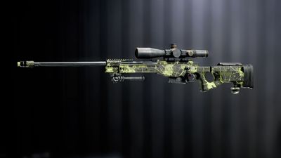 Best L115 loadout in Battlefield 6 for maximum range sniping