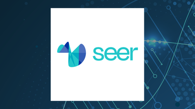 Seer Q1 Earnings Call Highlights