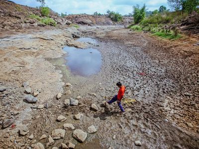 India’s top banks failing to tackle climate risk as threats grow