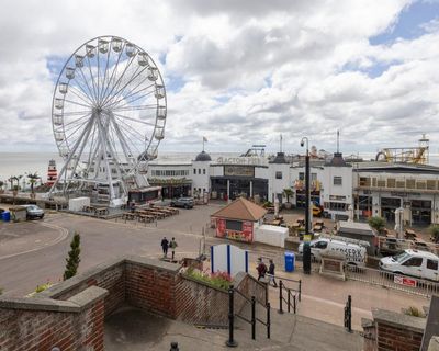 Farage’s Clacton-on-Sea constituency worst ‘tree desert’ in England, research shows
