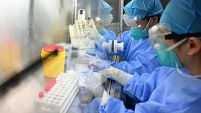 How ‘Norovirus’ has trapped cruise passengers onboard just like Hantavirus