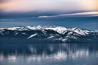 'We Don't Exist': Lake Tahoe Residents Say AI Data Centers Are Taking Their Power Supply