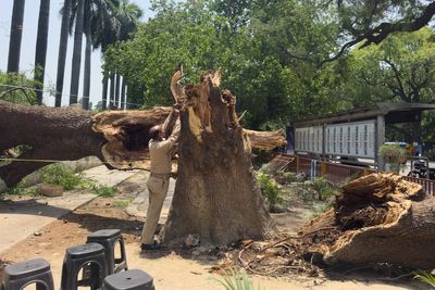 Dust storms and lightning kill at least 96 people in northern India