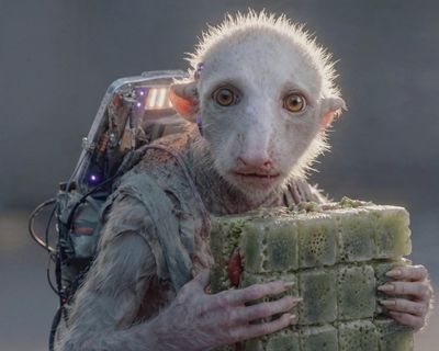 ‘There are no rules’: spotlight on Gossip Goblin as AI film-making enters new era