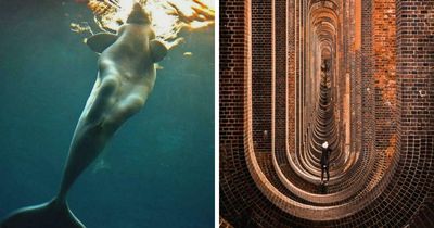 These 78 People Captured Visual Gold That They Just Had To Share With The Internet (New Pics)