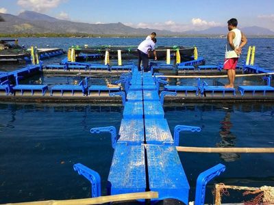 India figures in EU's draft list for continued export of aquaculture products