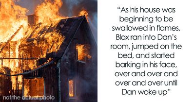 “That Dog Saved My Life”: 48 Survival Stories That Prove We Can’t Live Without Animals