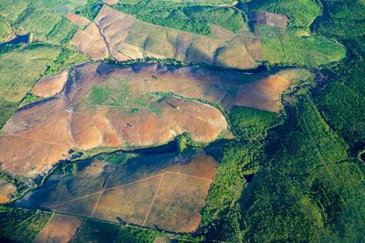 Brazil’s Atlantic forest records lowest deforestation in 40 years