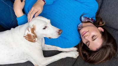 5 Hidden Signs Your Dog Trusts You More Than Anyone Else