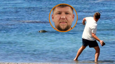 Hawaii seal attacker named as Seattle resident Igor Lytvynchuk and officially charged, potentially facing 2 years in prison