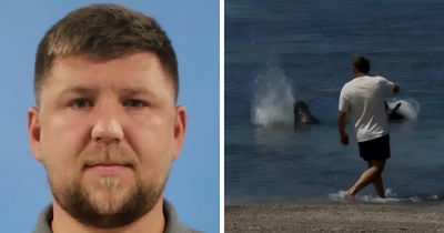 Entitled Tourist Who Threw A Rock At Beloved Hawaiian Seal Before Yelling ‘I’m Rich’ Officially Charged