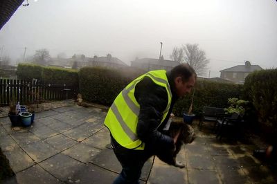 Delivery driver caught on doorbell camera taking pet cat from garden avoids jail