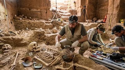 Indiana Jones comes to life: 12 skeletons found in a hidden Petra tomb beneath the Treasury