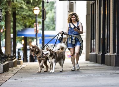 Business formations hit all-time high as ‘under-employed’ Americans turn to side hustles to make ends meet