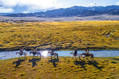Humans were riding horses 1,000 years earlier than previously thought, new study finds