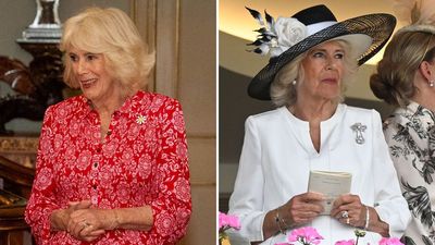 Queen Camilla's mysterious pinky ring engraved with 'ancient symbols' makes a low-key comeback for 2026