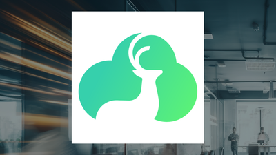 Bitdeer Technologies Group Q1 Earnings Call Highlights