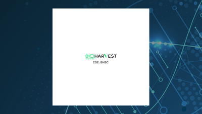 BioHarvest Sciences Q1 Earnings Call Highlights