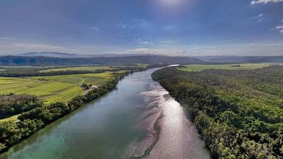 5 snake-filled waters in Queensland surrounded by rainforest and wetlands