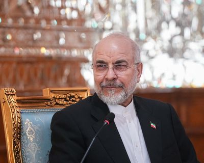 Prominent Australian academic denies links to powerful Iranian politician
