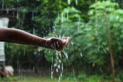 Washington Rainwater Rule: Why Some Collection Systems Now Require Permits