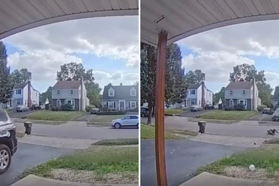 Chaos ensues after child accidentally puts car in reverse in Columbus, Ohio