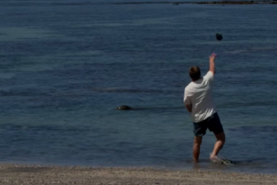 Hawaiian tourist who allegedly bragged ‘I’m rich’ after hurling rock at endangered seal gives new reason for actions: report