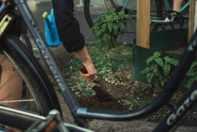 The Soil Compaction Problem That Limits Root Expansion