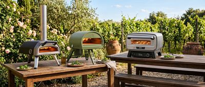 Fancy a slice in the sunshine? These are the best pizza ovens for authentic pies, al fresco style