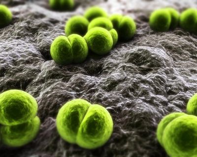 One dead and two more ill after meningitis outbreak in Berkshire