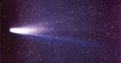 History's most famous Halley's comet may need a new name, and the real discoverer was a monk nobody ever heard of