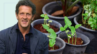 Monty Don shares the 'terribly important' garden job you need to get done this spring before summer arrives