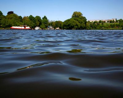 River Thames in London gets first official bathing spot on Friday