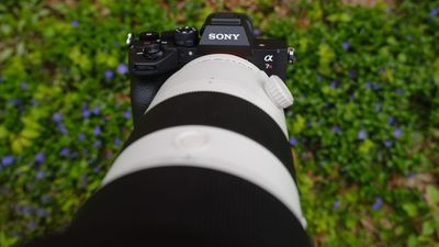 I just photographed wildlife at 67MP and 30fps. The Sony A7R VI proves high-res cameras don't have to be slow, but there are still compromises