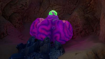 How to get Acidic Raion Pouch in Subnautica 2