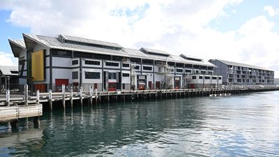 Wharf termite repairs worm way into budget