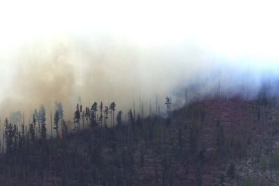 Small medical plane crashes in New Mexico mountains, killing all 4 people aboard