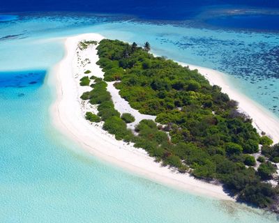 Cast Away by Francesca de Tores review – gripping portrait of the real-life Robinson Crusoe