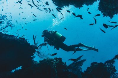 5 Italian Tourists Die During Cave Dive in Maldives: 'Worst Diving Accident' in Nation's History