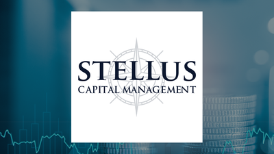 Stellus Capital Investment Q1 Earnings Call Highlights