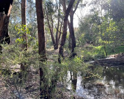 Developer withdraws plans for Perth datacentre after fierce community opposition