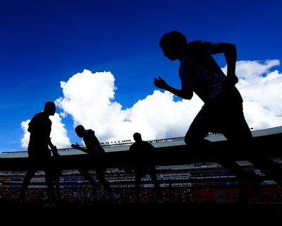From phishing to porn star impersonators: how scamming athletes became a billion-dollar industry