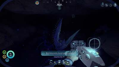 How to cure the Angel Comb and clear Bloom Infestation in Subnautica 2