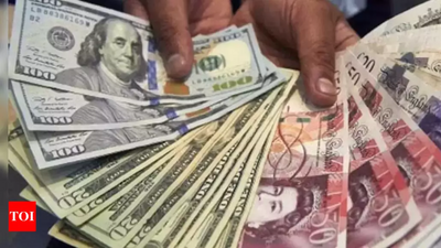 India's forex reserves jump by $6.295 billion to $696.988 billion