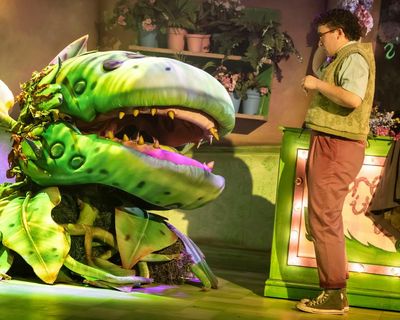 Little Shop of Horrors review – a mixed bouquet of kooky romance, doo-wop and wild B-movie
